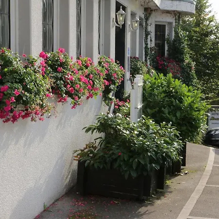 Niggemann 3* Solingen